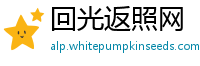 回光返照网